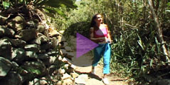 Reef Bay Trail - Hiking in St. John, U.S. Virgin Islands